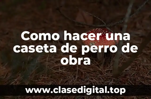 Como hacer una caseta de perro de obra