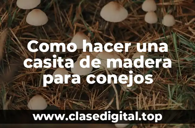 Como hacer una casita de madera para conejos