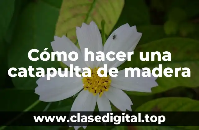 Cómo hacer una catapulta de madera