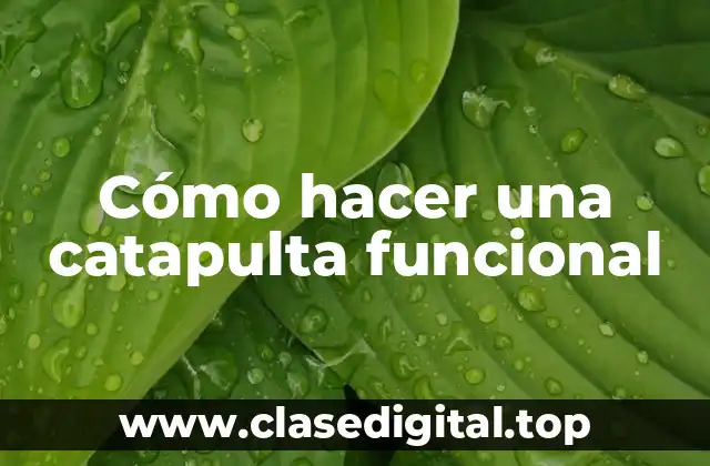 Cómo hacer una catapulta funcional