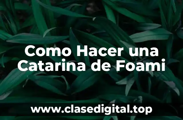 Como Hacer una Catarina de Foami