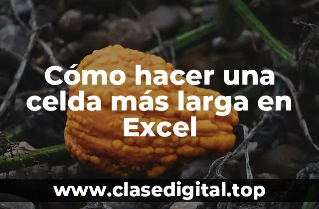 Cómo hacer una celda más larga en Excel