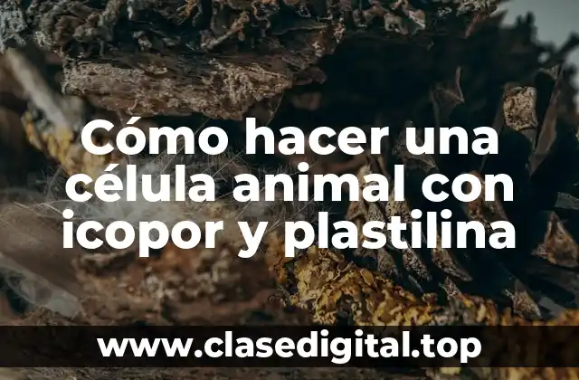 Cómo hacer una célula animal con icopor y plastilina