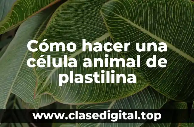 Cómo hacer una célula animal de plastilina