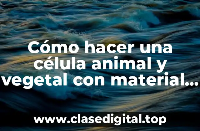 Cómo hacer una célula animal y vegetal con material reciclable