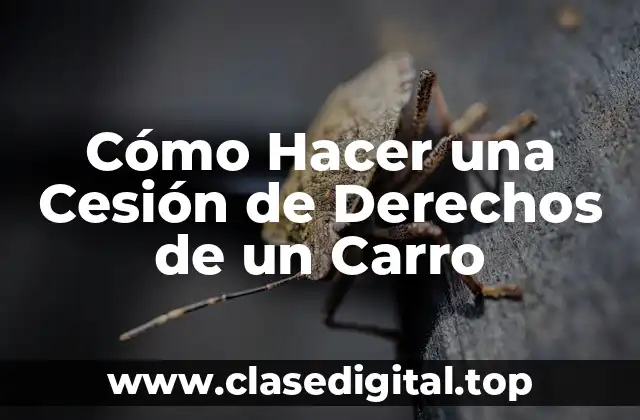 Cómo Hacer una Cesión de Derechos de un Carro