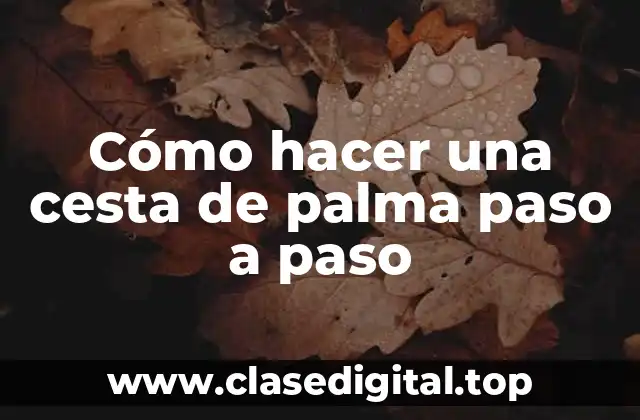 Cesta de palma: qué es, para qué sirve y cómo se usa