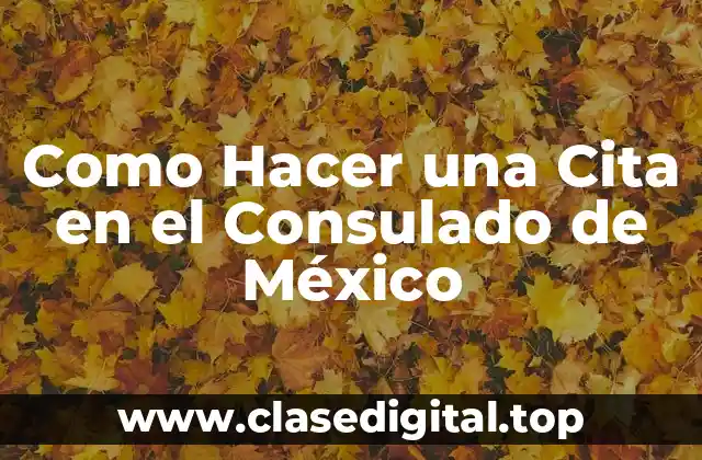 Como Hacer una Cita en el Consulado de México