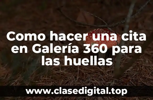 Como hacer una cita en Galería 360 para las huellas