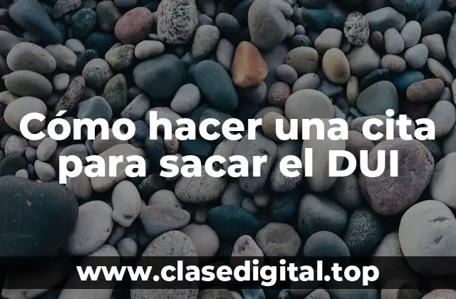 Cómo hacer una cita para sacar el DUI