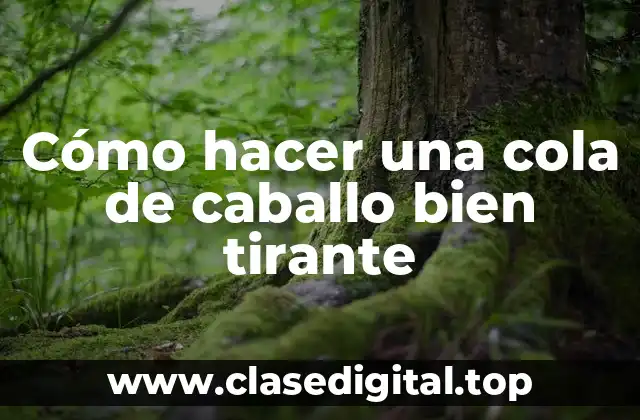 Cómo hacer una cola de caballo bien tirante