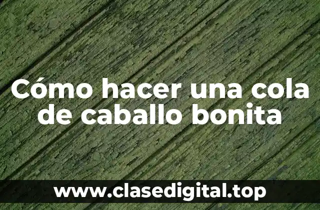 Cómo hacer una cola de caballo bonita