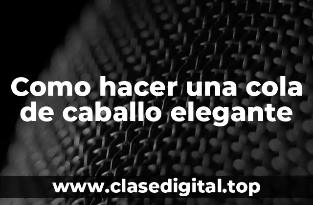 Cola de caballo elegante