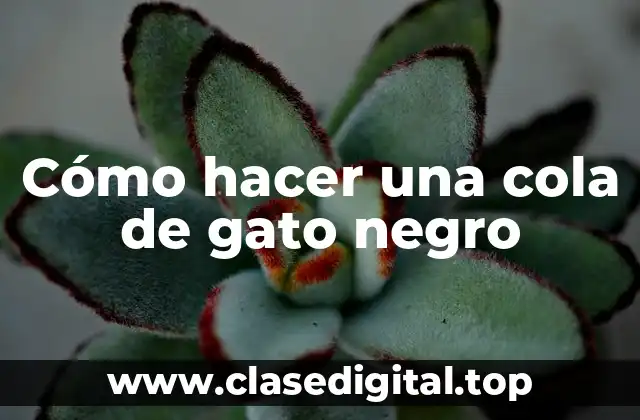 ¿Qué es una cola de gato negro y para qué sirve?