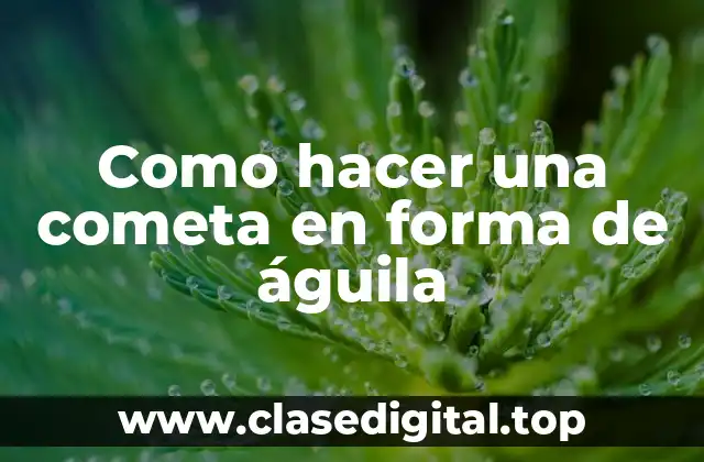 Como hacer una cometa en forma de águila