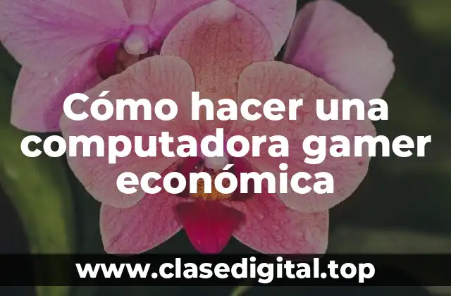 Cómo hacer una computadora gamer económica