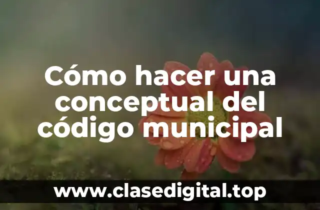 Cómo hacer una conceptual del código municipal