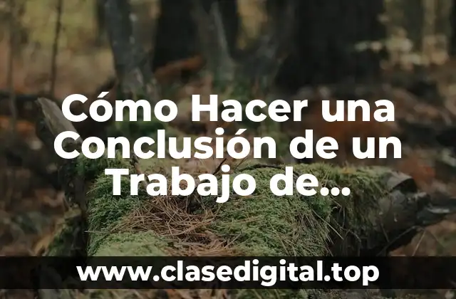 ¿Qué es una Conclusión en un Trabajo de Investigación?