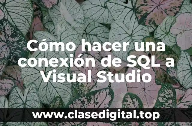 Cómo hacer una conexión de SQL a Visual Studio