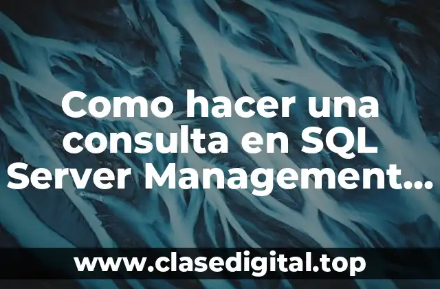 Como hacer una consulta en SQL Server Management Studio