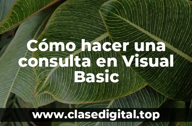 Cómo hacer una consulta en Visual Basic