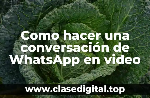 Como hacer una conversación de WhatsApp en video
