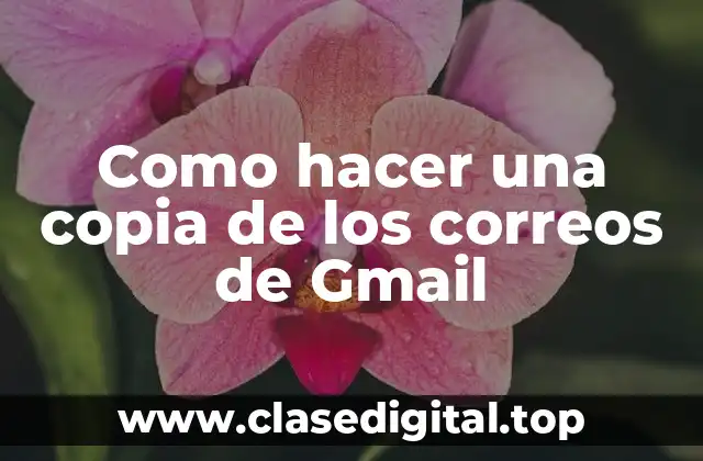 Como hacer una copia de los correos de Gmail