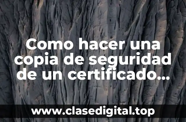 Como hacer una copia de seguridad de un certificado digital