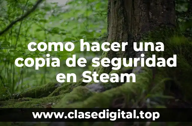 como hacer una copia de seguridad en Steam