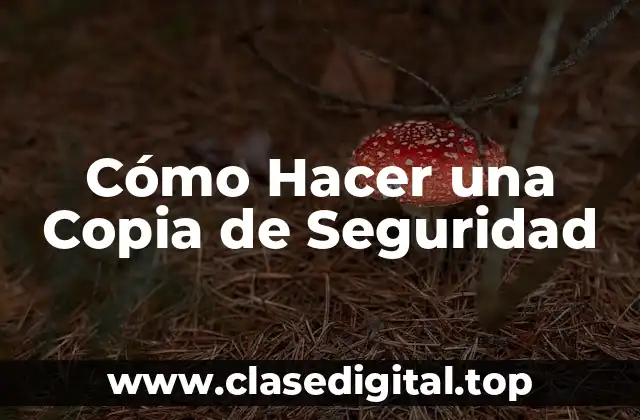 Cómo Hacer una Copia de Seguridad