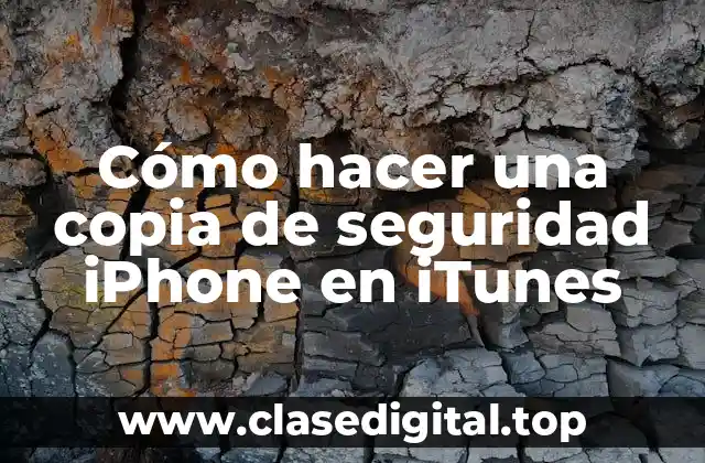 Cómo hacer una copia de seguridad iPhone en iTunes