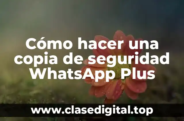 Cómo hacer una copia de seguridad WhatsApp Plus
