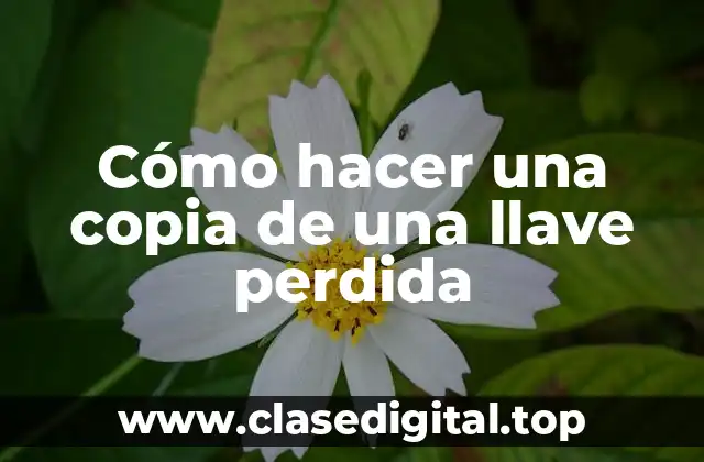 Cómo hacer una copia de una llave perdida