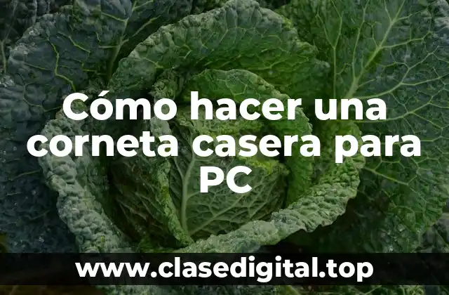 Cómo hacer una corneta casera para PC