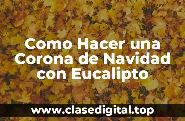 Como Hacer una Corona de Navidad con Eucalipto
