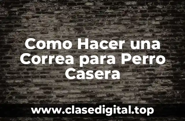 Como Hacer una Correa para Perro Casera