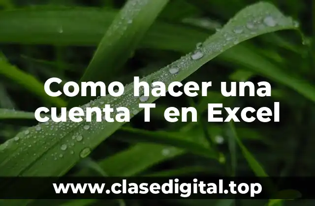Como hacer una cuenta T en Excel