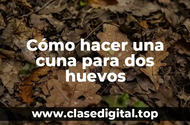 Cómo hacer una cuna para dos huevos