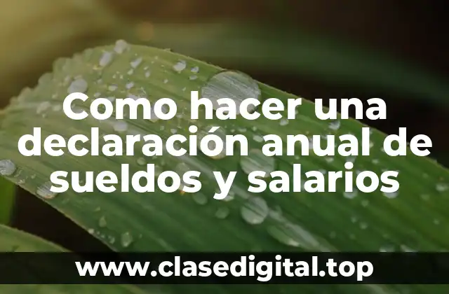 Qué es una declaración anual de sueldos y salarios