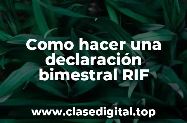 ¿Qué es una declaración bimestral RIF?