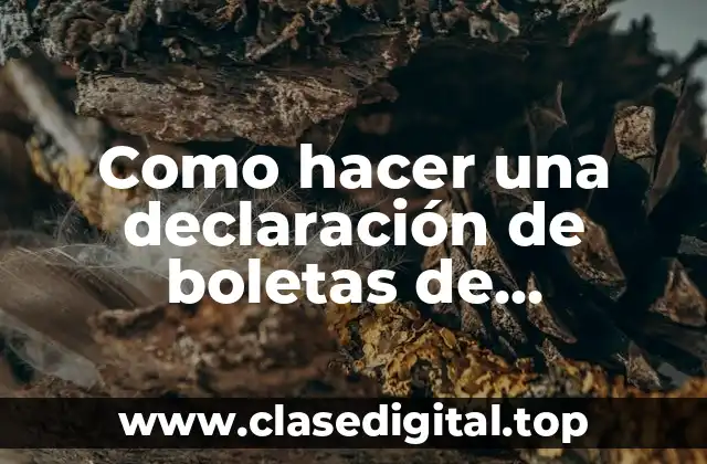 Como hacer una declaración de boletas de honorarios