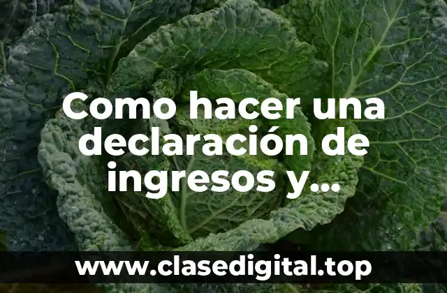 Como hacer una declaración de ingresos y patrimonio
