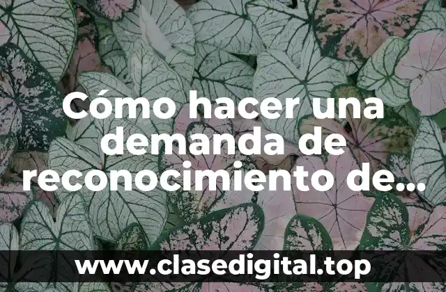 Cómo hacer una demanda de reconocimiento de paternidad