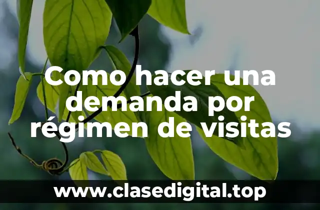 ¿Qué es una demanda por régimen de visitas?