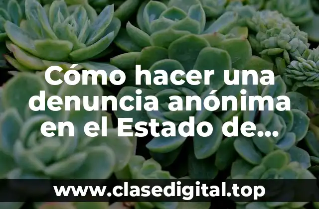Cómo hacer una denuncia anónima en el Estado de México