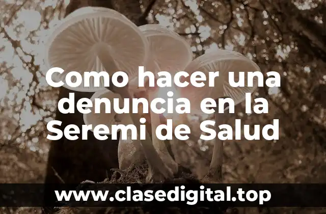 Como hacer una denuncia en la Seremi de Salud