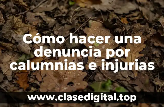 Cómo hacer una denuncia por calumnias e injurias