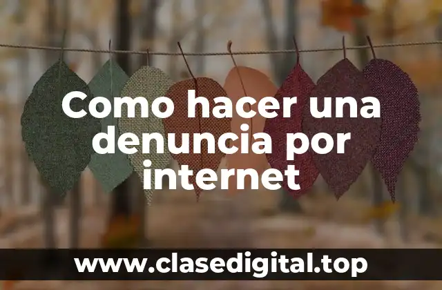 Como hacer una denuncia por internet