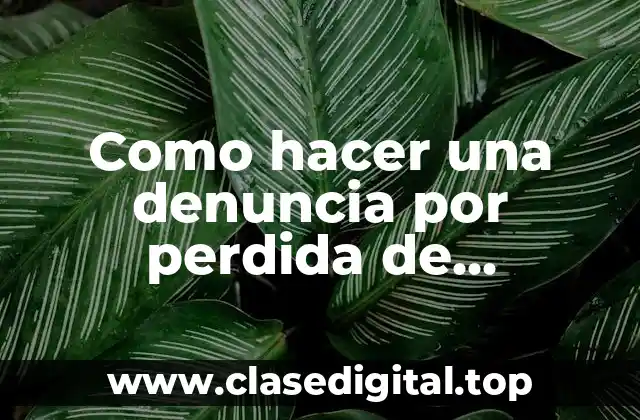 Como hacer una denuncia por perdida de pasaporte