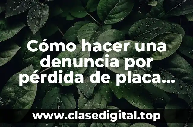 ¿Qué es una denuncia por pérdida de placa vehicular y para qué sirve?